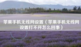 苹果手机无线网设置（苹果手机无线网设置打不开怎么回事）