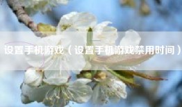 设置手机游戏（设置手机游戏禁用时间）