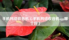 手机网络收音机（手机网络收音机app哪个好）