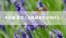 手机膜 英文（手机膜英文名叫什么）