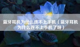 蓝牙耳机为什么连不上手机（蓝牙耳机为什么连不上手机了呀）