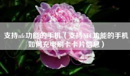 支持nfc功能的手机（支持NFC功能的手机如何充电刷卡卡片信息）