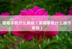 黑莓手机什么系统（黑莓手机什么操作系统）