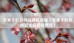 苹果手机如何设置应用锁（苹果手机如何设置应用锁微信）