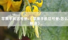 苹果手机信号是e（苹果手机信号是e怎么解决）