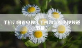 手机如何看电视（手机如何看电视频道节目）