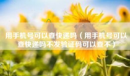 用手机号可以查快递吗（用手机号可以查快递吗不发验证码可以查不）