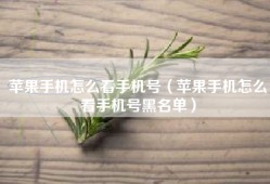 苹果手机怎么看手机号（苹果手机怎么看手机号黑名单）