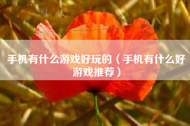 手机有什么游戏好玩的（手机有什么好游戏推荐）