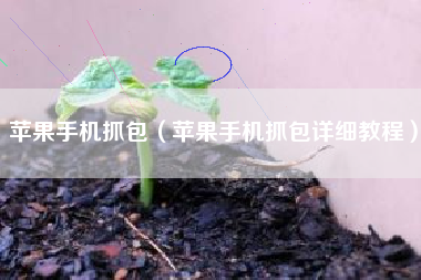 苹果手机抓包（苹果手机抓包详细教程）