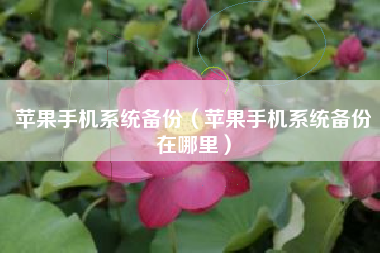 苹果手机系统备份（苹果手机系统备份在哪里）