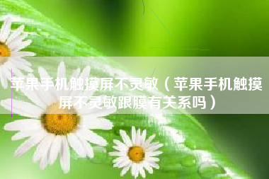 苹果手机触摸屏不灵敏（苹果手机触摸屏不灵敏跟膜有关系吗）