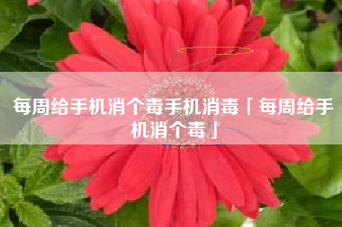 每周给手机消个毒手机消毒「每周给手机消个毒」